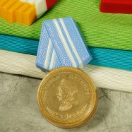 Медаль 2, пластиковая форма